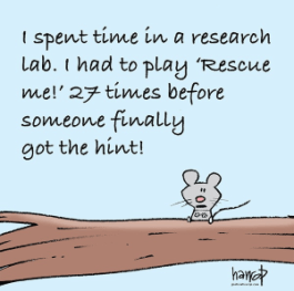 sanctuary mouse copy